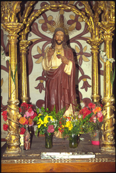 san miguel-04.jpg